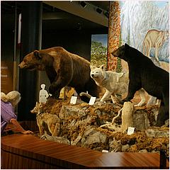 SpirtoftheOldWestMuseum-07.jpg