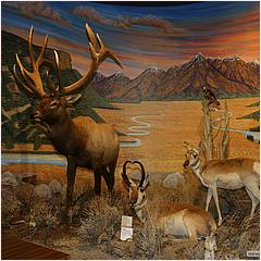 SpirtoftheOldWestMuseum-27b1.jpg