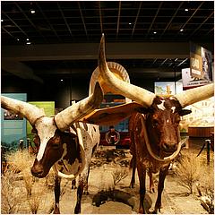 SpirtoftheOldWestMuseum-32.jpg