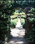 Filoli-JUN06-43b.jpg