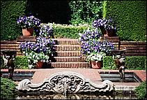 Filoli-JUN06-92b.jpg