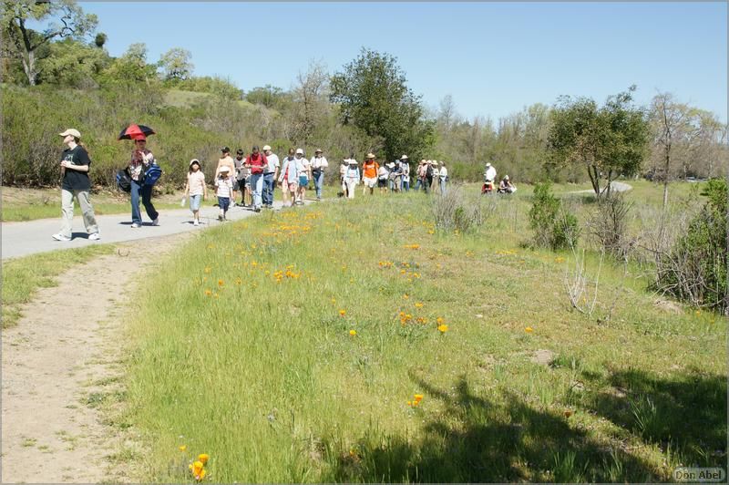 Wildflowers-GrantCP_APR09-026b.jpg - for personal use