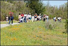 Wildflowers-GrantCP_APR09-025c.jpg