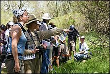 Wildflowers-GrantCP_APR09-063c.jpg