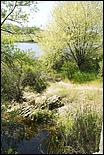 Wildflowers-GrantCP_APR09-376c.jpg