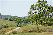 Wildflowers-GrantCP_APR09-379b.jpg