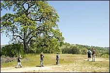 Wildflowers-GrantCP_APR09-388b.jpg