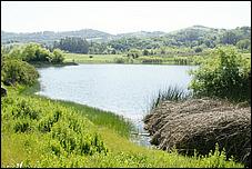 Wildflowers-GrantCP_APR09-394b.jpg