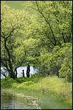 Wildflowers-GrantCP_APR09-426c.jpg