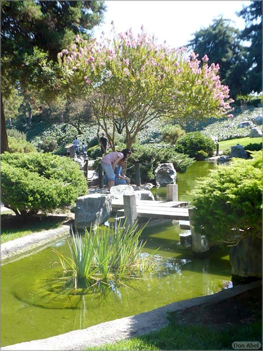 JapaneseFriendshipGarden09-14c.jpg - for personal use