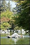 JapaneseFriendshipGarden08-008b.jpg