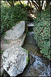 JapaneseFriendshipGarden08-015b.jpg