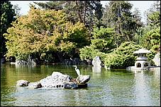 JapaneseFriendshipGarden08-081c.jpg