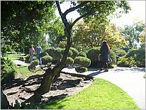 JapaneseFriendshipGarden09-28b.jpg