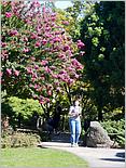 JapaneseFriendshipGarden09-43c.jpg