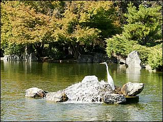 JapaneseFriendshipGarden08-046d.jpg