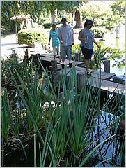 JapaneseFriendshipGarden09-19b.jpg