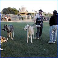 CampbellDogPark09-002c.jpg