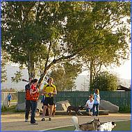 CampbellDogPark10-012b.jpg