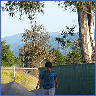 CampbellDogPark10-032b.jpg