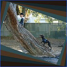 CampbellDogPark13-010c1-web.jpg