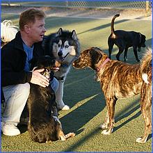 CampbellDogPark13-017c2-web.jpg