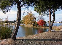 LosGatosTrail-034b.jpg