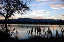 LosGatosTrail-087b.jpg