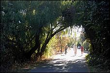 LosGatosTrail06-179b.jpg