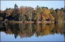 Vasona06-375d.jpg