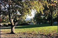 Vasona06-397b.jpg