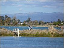 LosGatosTrail07-087b.jpg