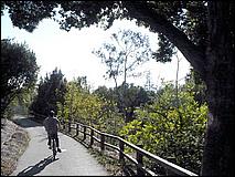 LosGatosTrail07-136c.jpg