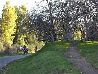 LosGatosTrail08-221b.jpg