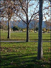 LosGatosTrail09-594b.jpg