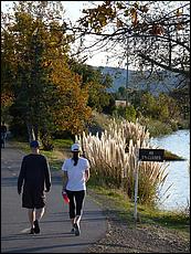 LosGatosTrail09-613b.jpg