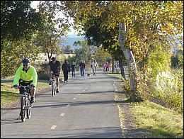 LosGatosTrail09-625b.jpg