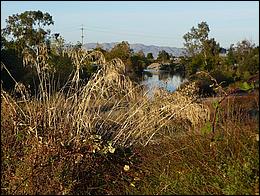 LosGatosTrail09-656b.jpg