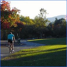 LosGatosTrail12-481-web.jpg