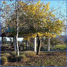 LosGatosTrail12-491-web.jpg