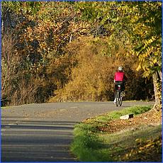 LosGatosTrail12-494-web.jpg