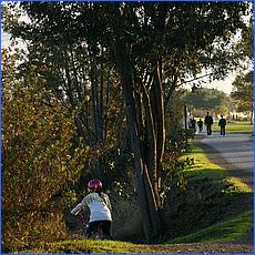 LosGatosTrail12-503c2b-web.jpg