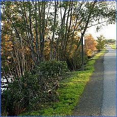 LosGatosTrail12-505c1-web.jpg