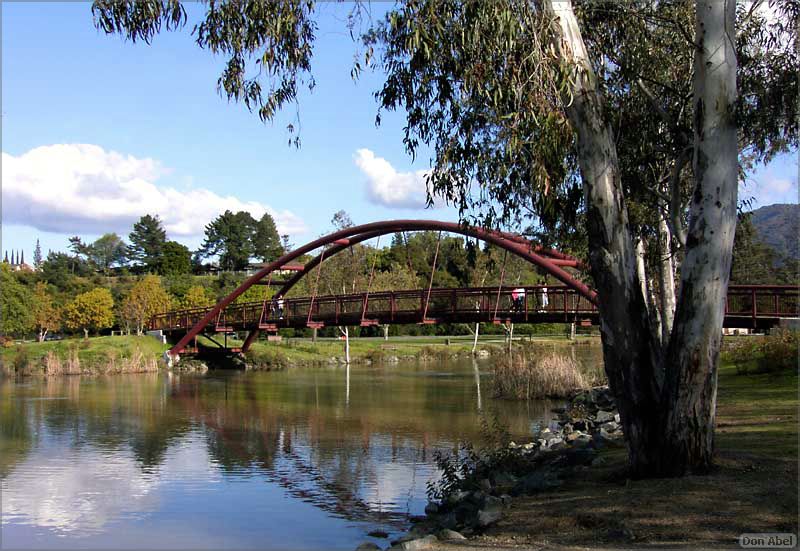 Vasona06-120b.jpg - for personal use only