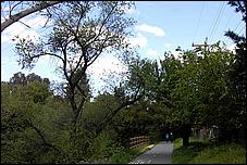 LosGatosTrail06-108b.jpg