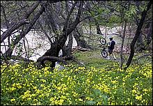 LosGatosTrail06-118b.jpg