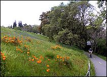 LosGatosTrail06-126b.jpg