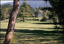 OakMeadow06-368b.jpg