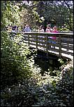 OakMeadow06-370a.jpg