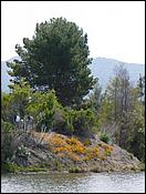 LosGatosTrail08-038b.jpg